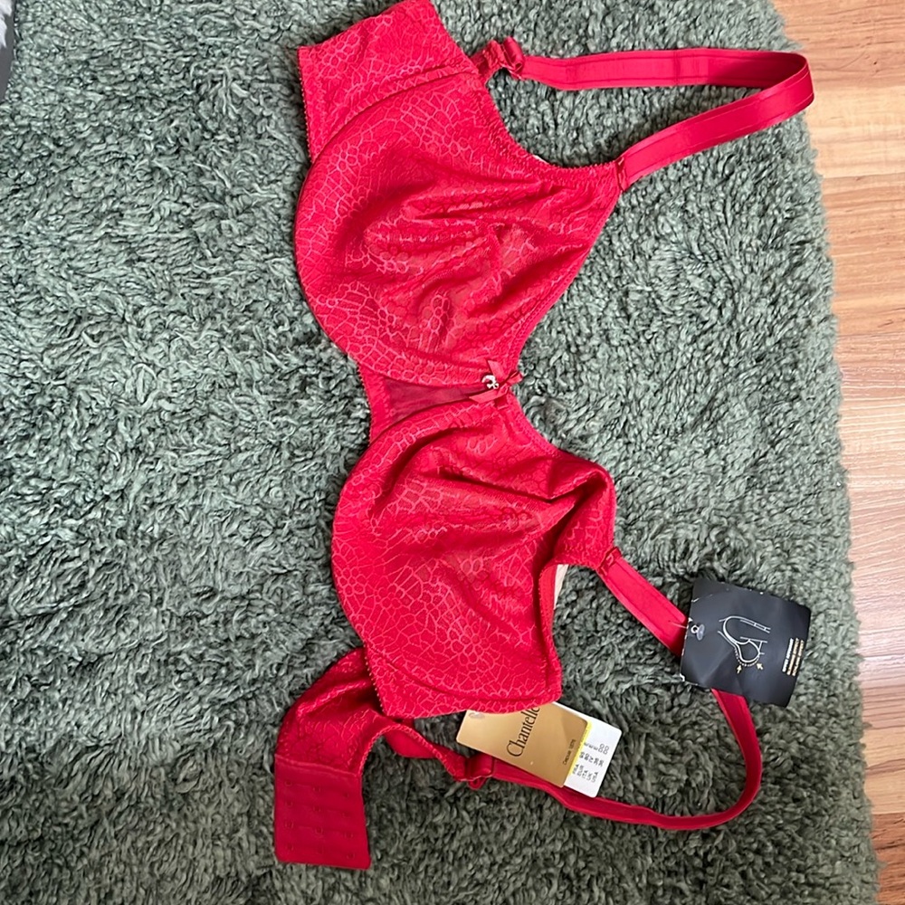 Chantelle bra